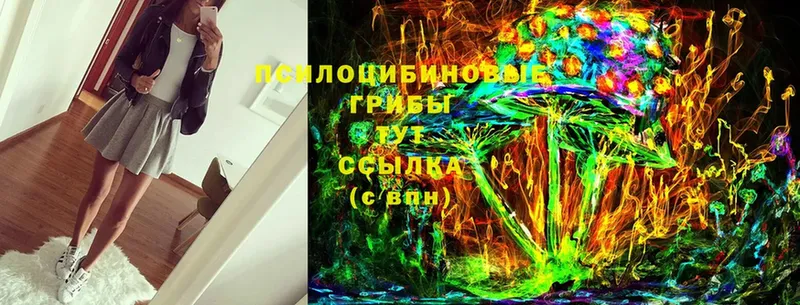 блэк спрут ссылки  Чистополь  Псилоцибиновые грибы Cubensis 